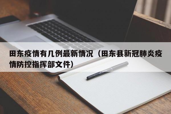 田东疫情有几例最新情况（田东县新冠肺炎疫情防控指挥部文件）
