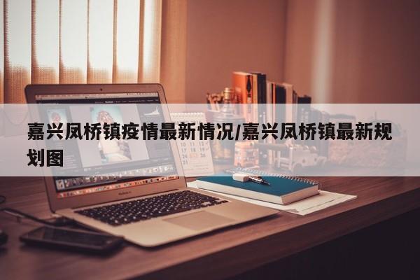 嘉兴凤桥镇疫情最新情况/嘉兴凤桥镇最新规划图
